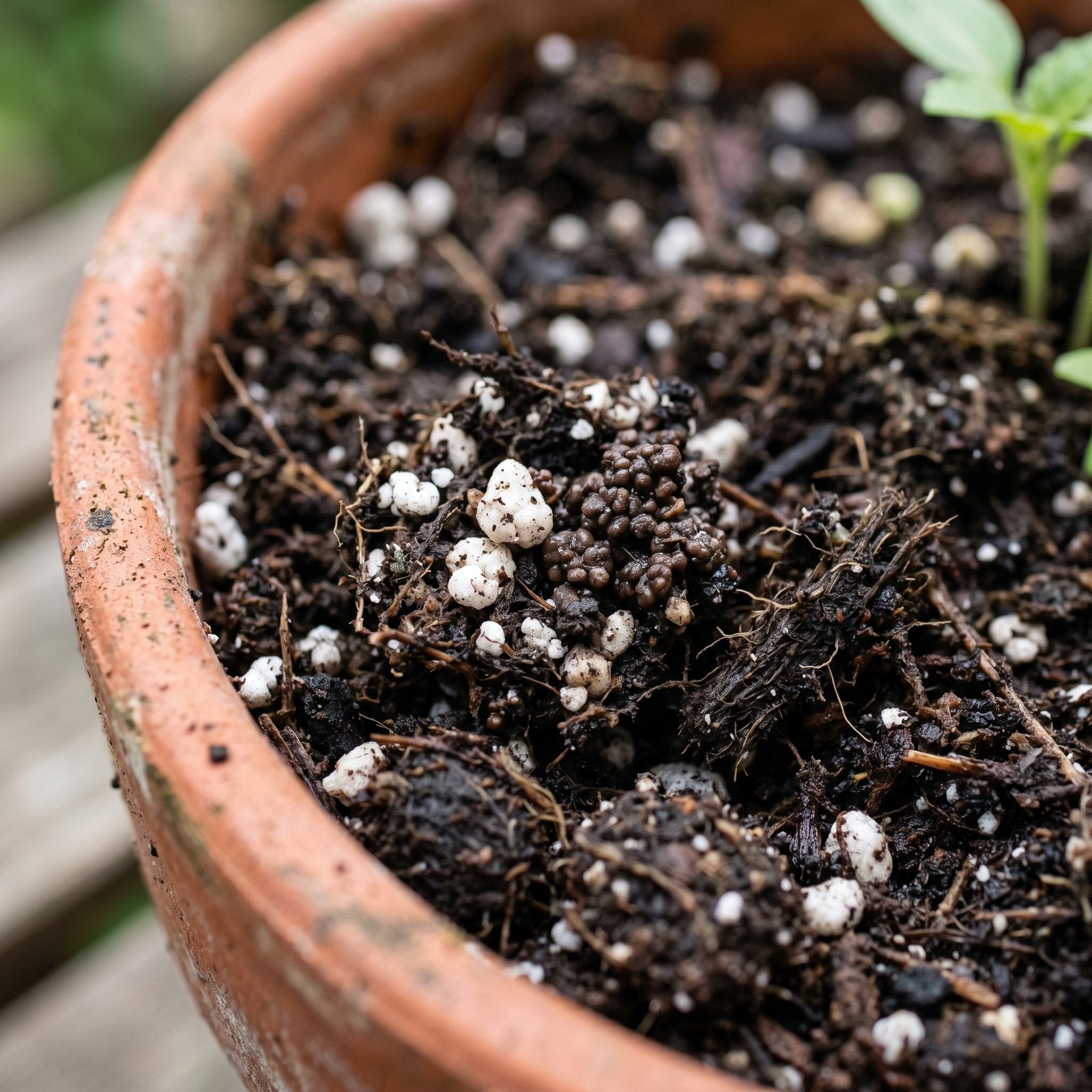 Gaia Green Living Soil 1.5 cu ft - view 3